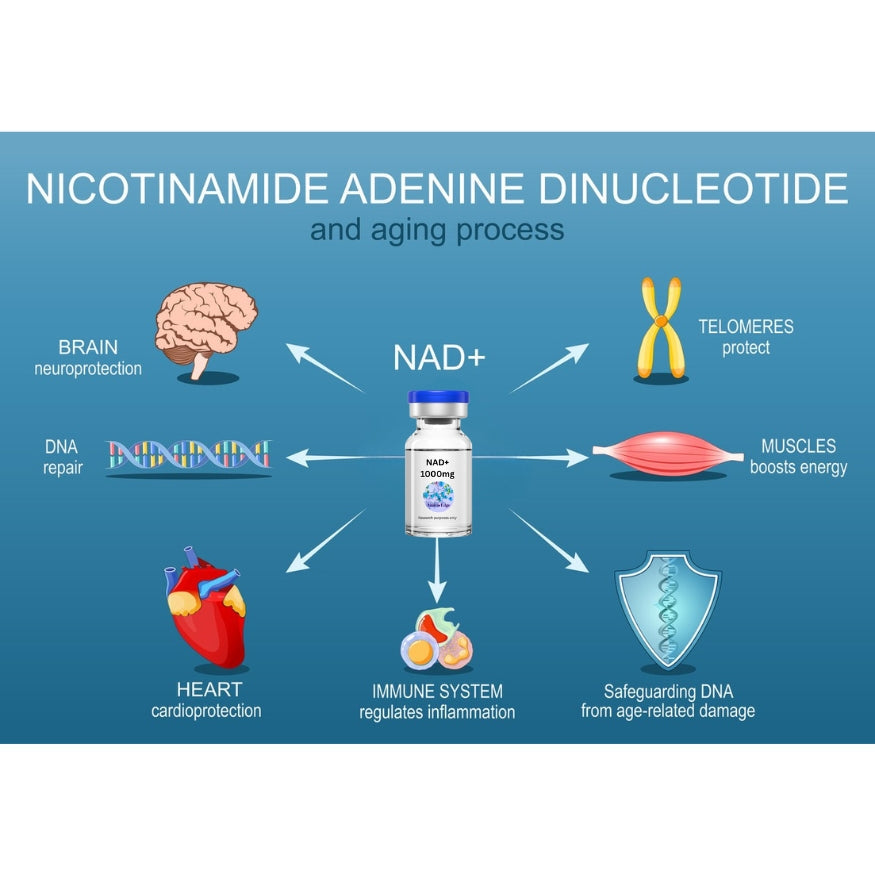 Unlocking the Benefits of NAD+: The Molecule of Vitality